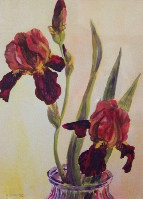 Red Iris w/c